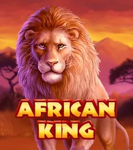 African King Hold'N'Link