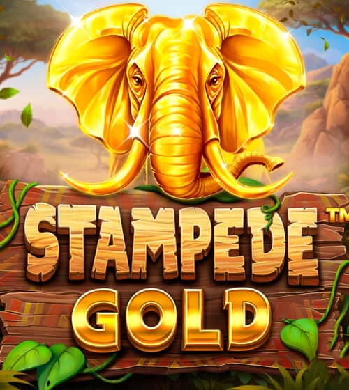 Stampede Gold