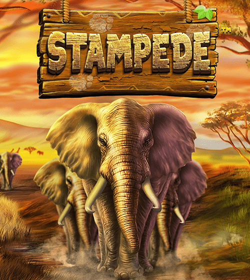 Stampede