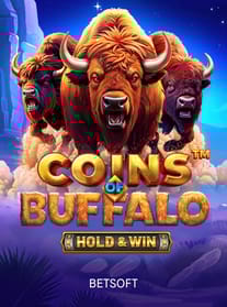 Coins of Buffalo