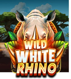 Wild White Rhino