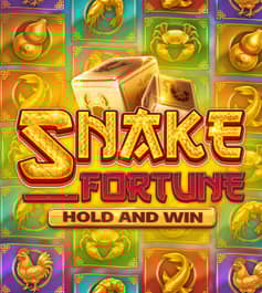 Snake Fortune Hold and Win